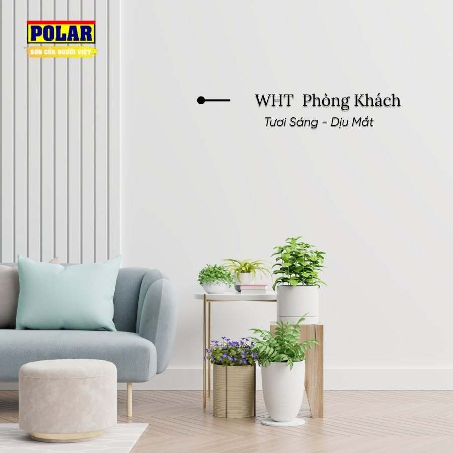 Dự Án Cải Tạo Khu Vực Đọc Sách & Thư Giãn